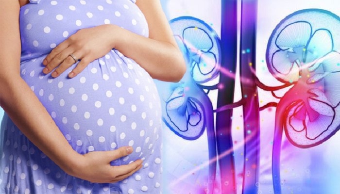 Pregnancy And Kidney Illness