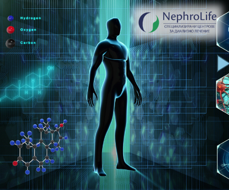 бъбречните заболявания и органите в човешкото тяло