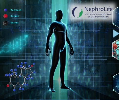 бъбречните заболявания и органите в човешкото тяло
